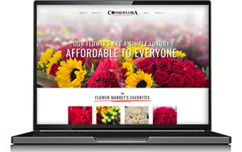 custom web design